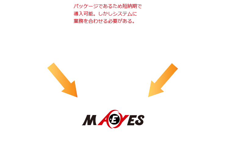 スクラッチシステムとパッケージシステムの良いところ取りをしたシステム